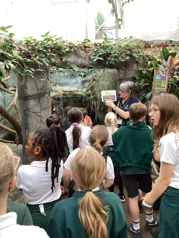 Gallery - created at 2025-03-14 10:11:21 - image 3 Gallery - created at 2025-03-14 10:11:21 - image 3