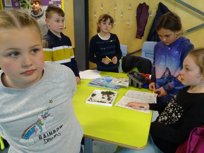 Gallery - created at 2019-05-17 14:29:26 - image 3 Gallery - created at 2019-05-17 14:29:26 - image 3