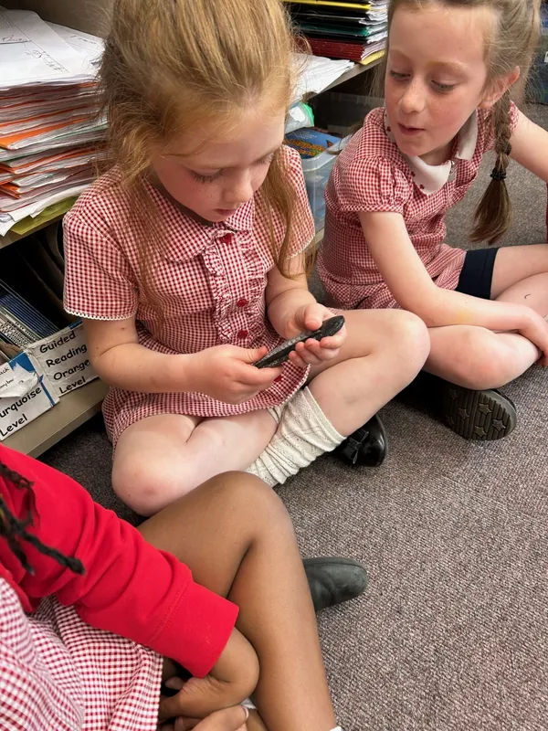 Gallery - created at 2025-05-23 15:26:33 - image 8