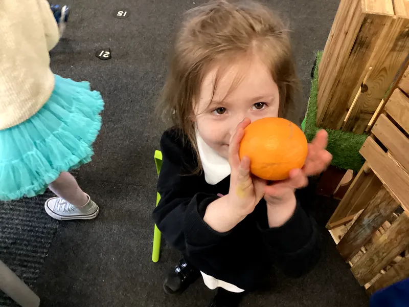 SPring 2 recpetion - image 12