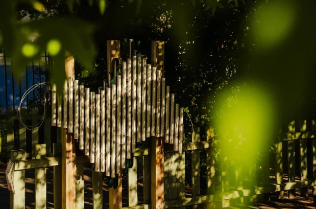 School Tour - image 8