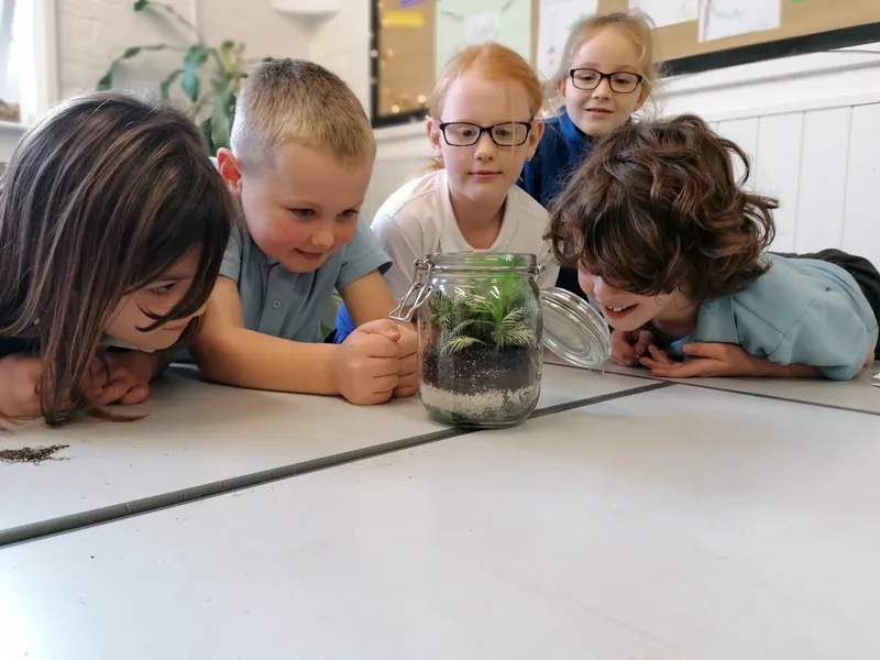 Gallery - created at 2020-10-19 15:54:26 - image 2