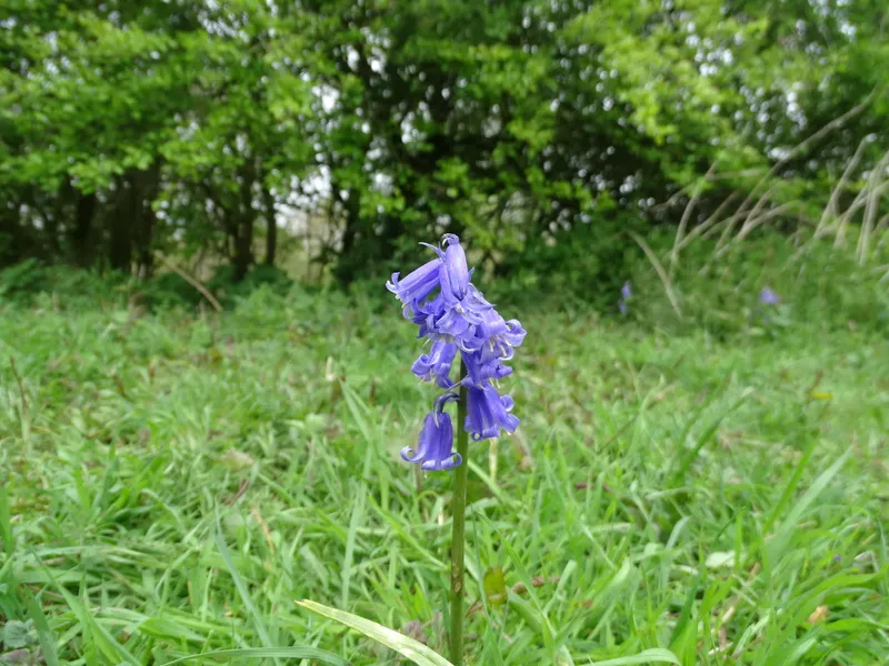 Gallery - created at 2019-05-10 15:17:23 - image 13 Gallery - created at 2019-05-10 15:17:23 - image 13