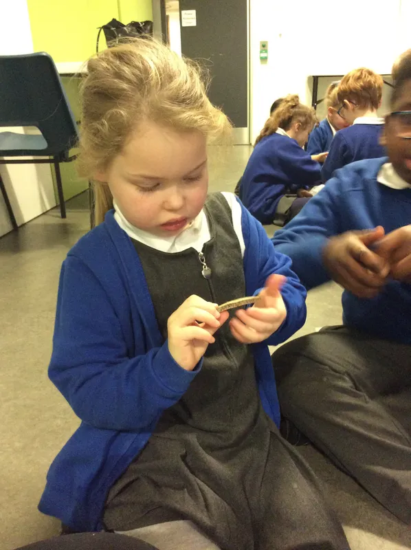 Gallery - created at 2024-02-09 11:53:37 - image 13