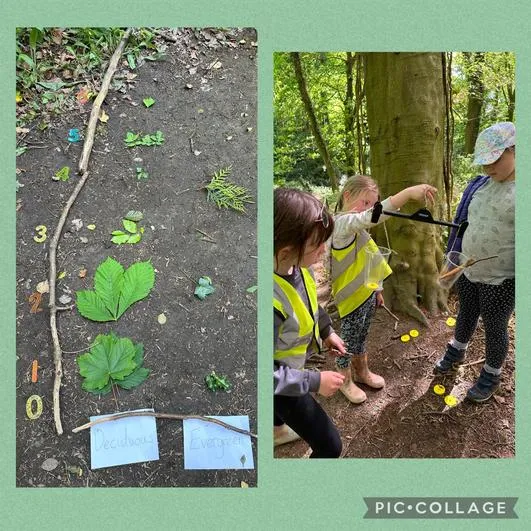 Forest School 38 - image 4 Forest School 38 - image 4