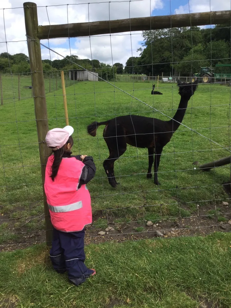 Smithills Farm - image 9