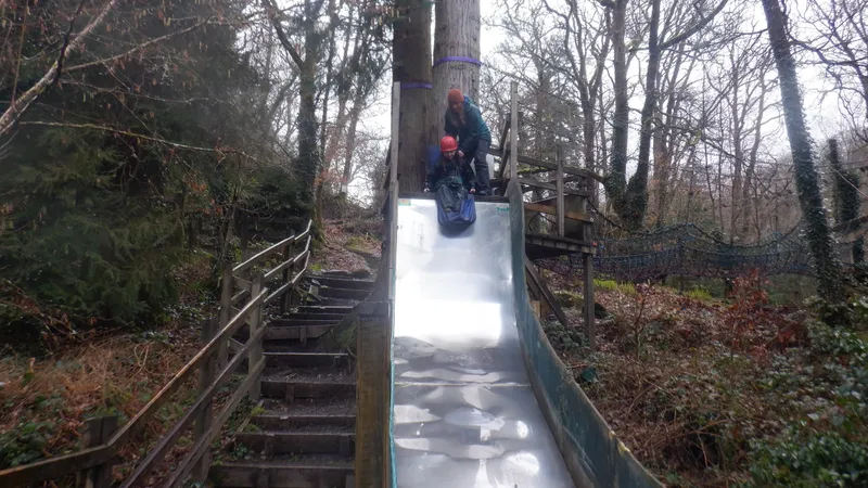 Gallery - created at 2024-02-27 21:54:15 - image 31 Gallery - created at 2024-02-27 21:54:15 - image 31