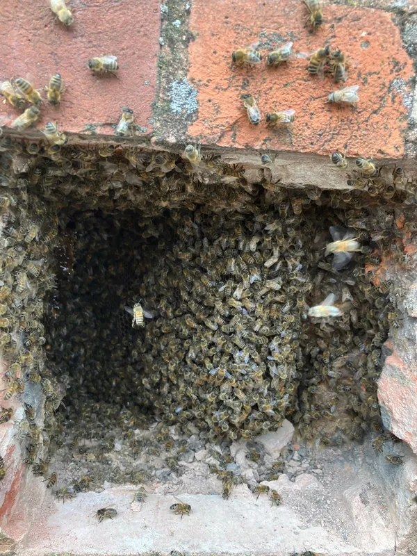 Gallery - created at 2025-06-06 09:25:32 - image 3