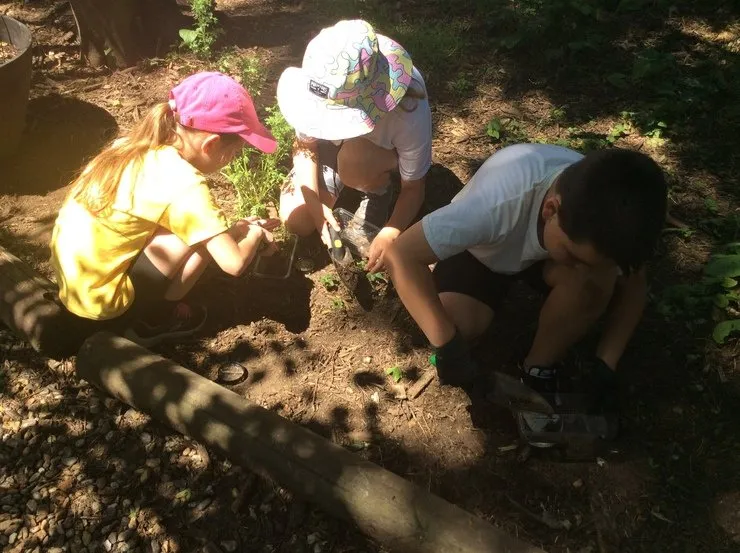 Forest School Activities - image 17