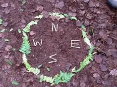 Forest School 156 - image 2 Forest School 156 - image 2