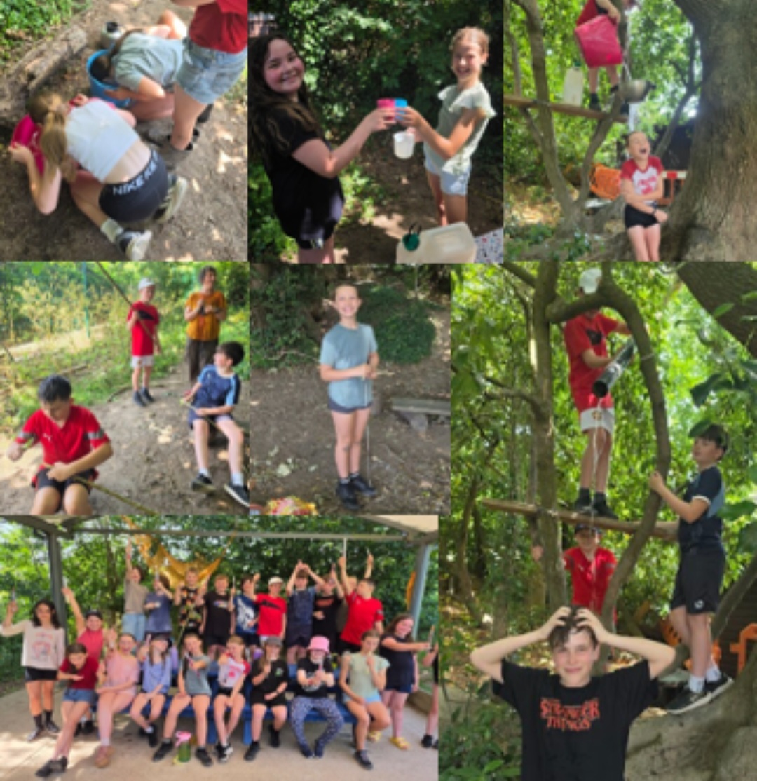 Y6 Forest School