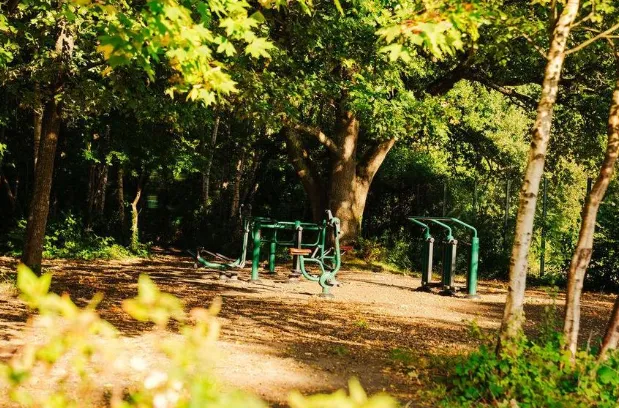 School Tour - image 9