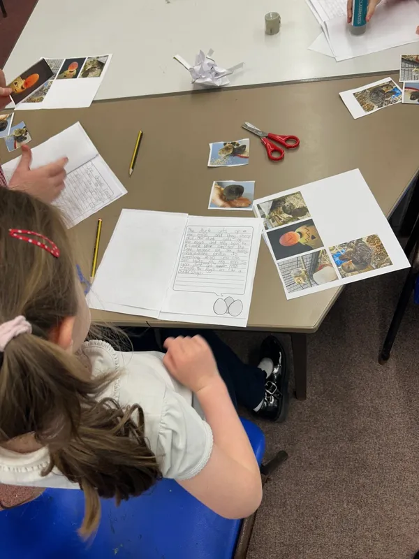 Gallery - created at 2025-06-06 11:32:24 - image 15