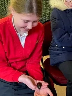 Gallery - created at 2023-03-01 14:01:13 - image 18