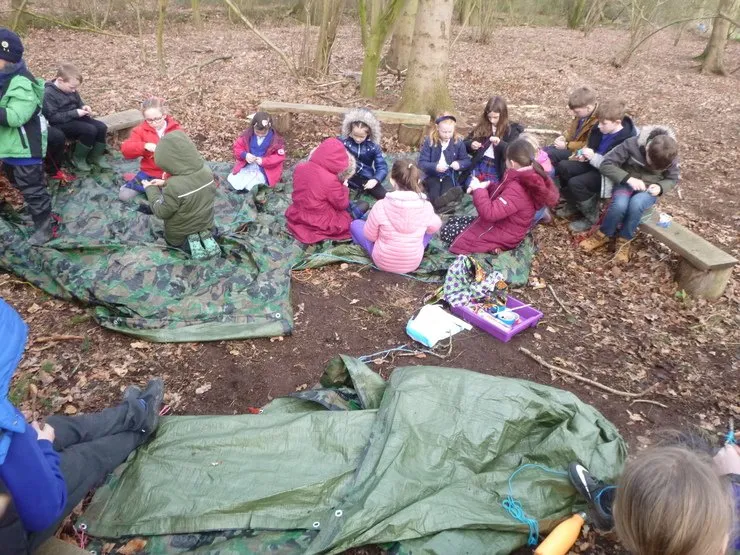 Gallery 7 - image 34