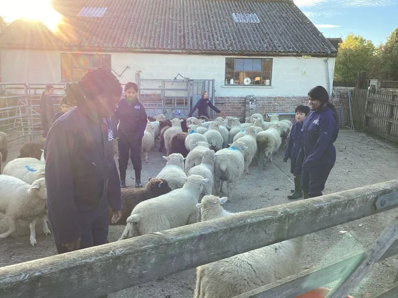 Farm Trip 2025 - image 14