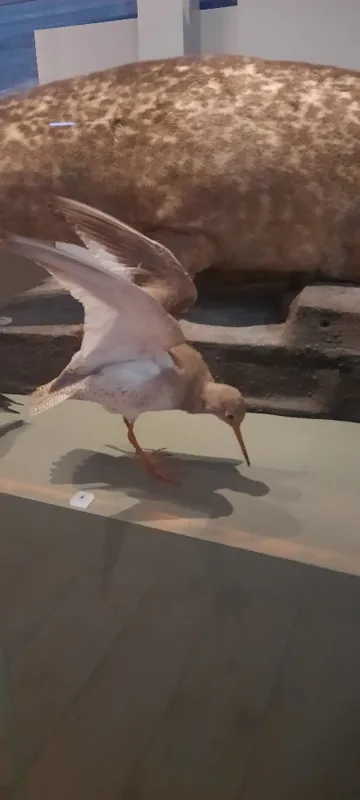 Whole School Trip to Newcastle  - image 35