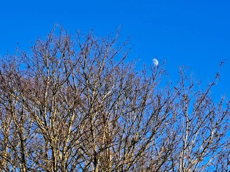 Year 5 and 6 pupils. - image 3