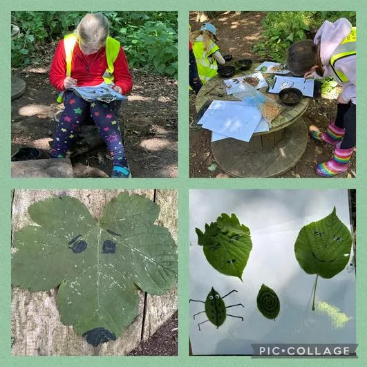 Summer 2024 - 26th June - Oaks - Leaf Identification and Leaf Art; Fire Lighting; Mud Painting and Natural Paintbrushes; Stick People (knot tying) - image 3 Summer 2024 - 26th June - Oaks - Leaf Identification and Leaf Art; Fire Lighting; Mud Painting and Natural Paintbrushes; Stick People (knot tying) - image 3