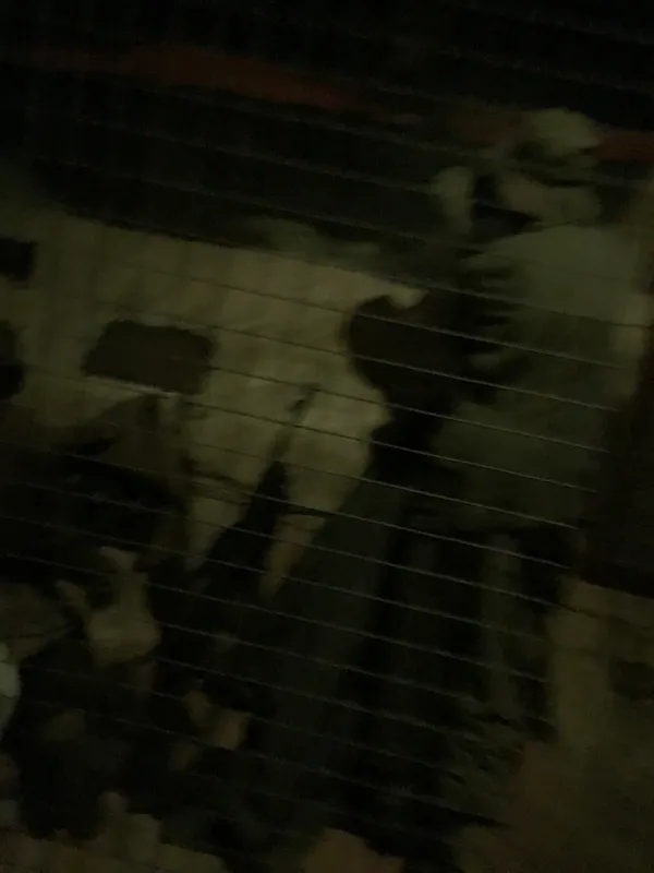 Eden camp 23rd Sept 2025 - image 72