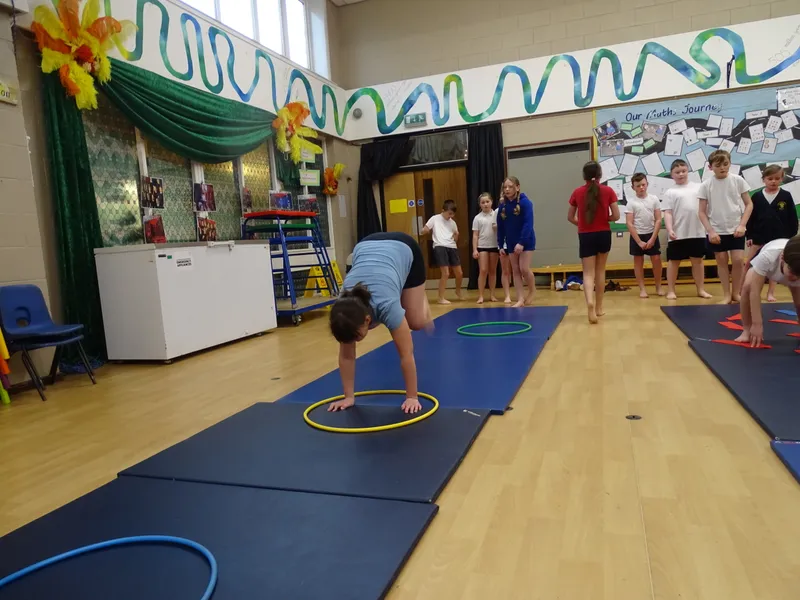 Ospreys Gymnastics Skills - image 12 Ospreys Gymnastics Skills - image 12