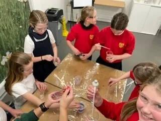 Gallery - created at 2022-12-14 15:50:36 - image 13