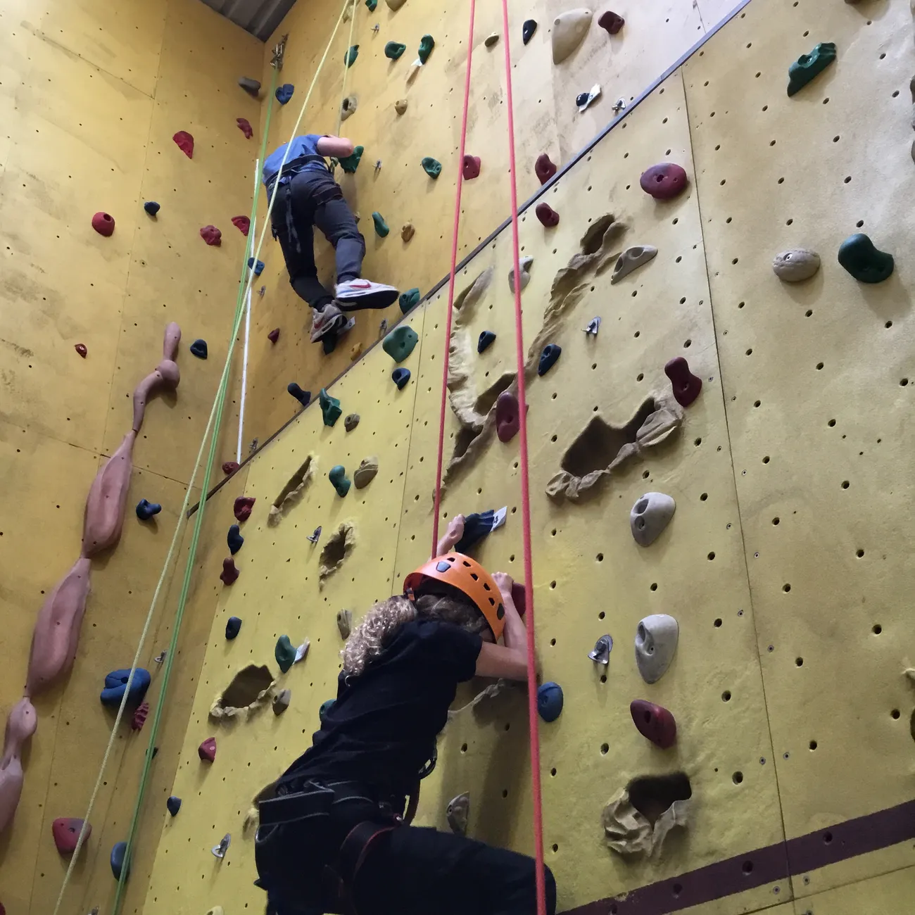 Gallery - created at 2024-09-17 20:50:18 - image 5 Gallery - created at 2024-09-17 20:50:18 - image 5