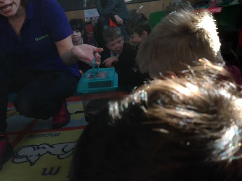 Gallery - created at 2019-03-05 16:15:36 - image 17 Gallery - created at 2019-03-05 16:15:36 - image 17