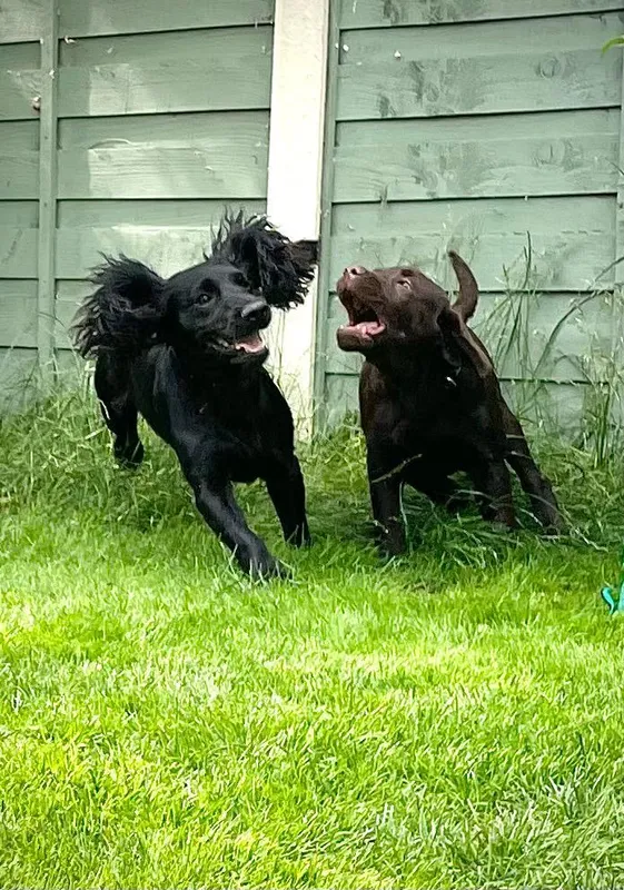 Gallery - created at 2021-06-30 13:57:57 - image 18