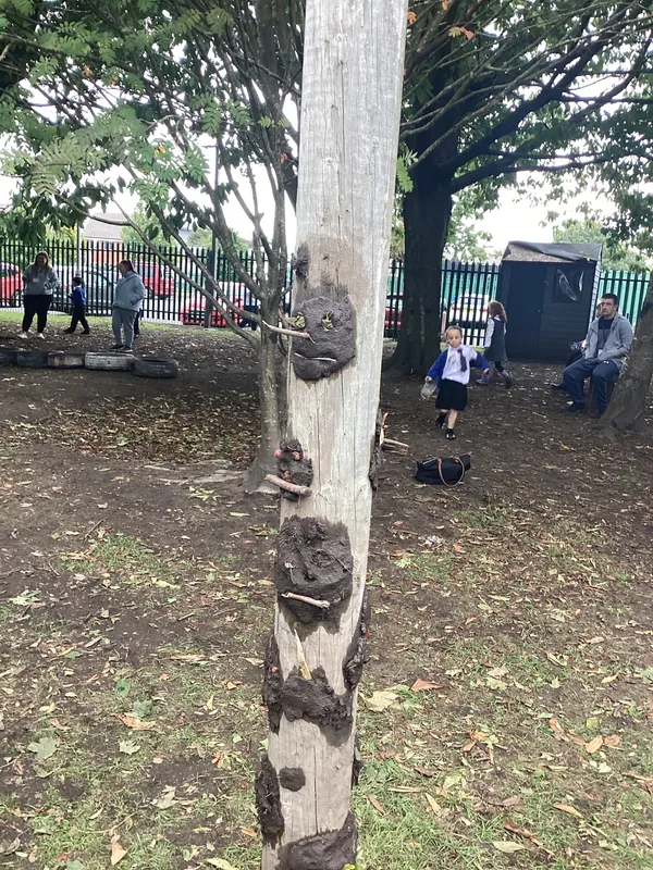 Gallery - created at 2025-11-03 10:38:42 - image 1 Gallery - created at 2025-11-03 10:38:42 - image 1