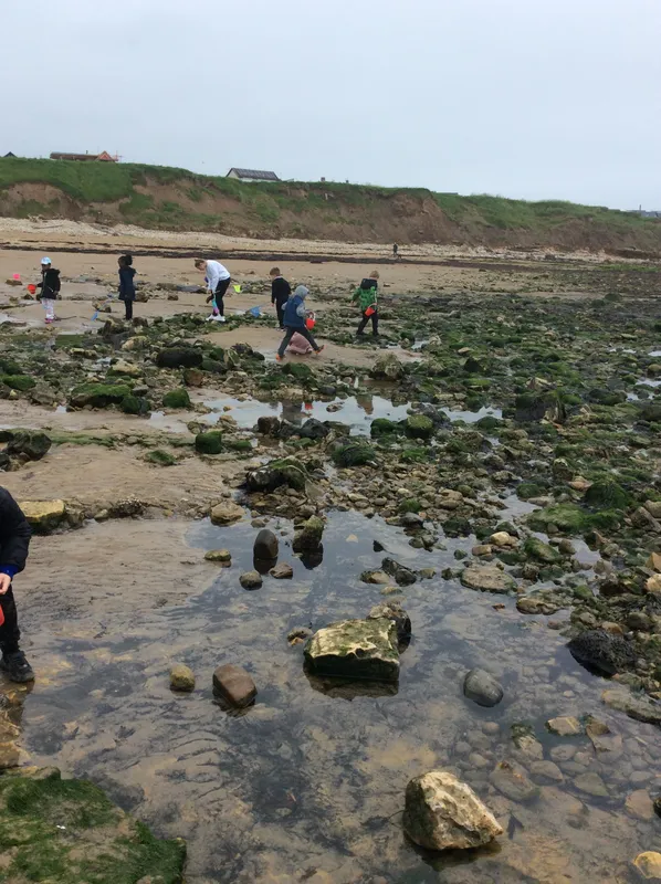 Gallery - created at 2024-05-23 10:29:28 - image 5