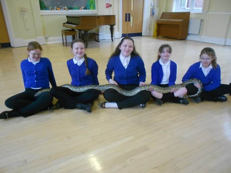 Y6 Reptile Rendezvous - image 65