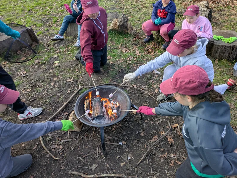 Gallery - created at 2025-03-20 15:36:53 - image 11