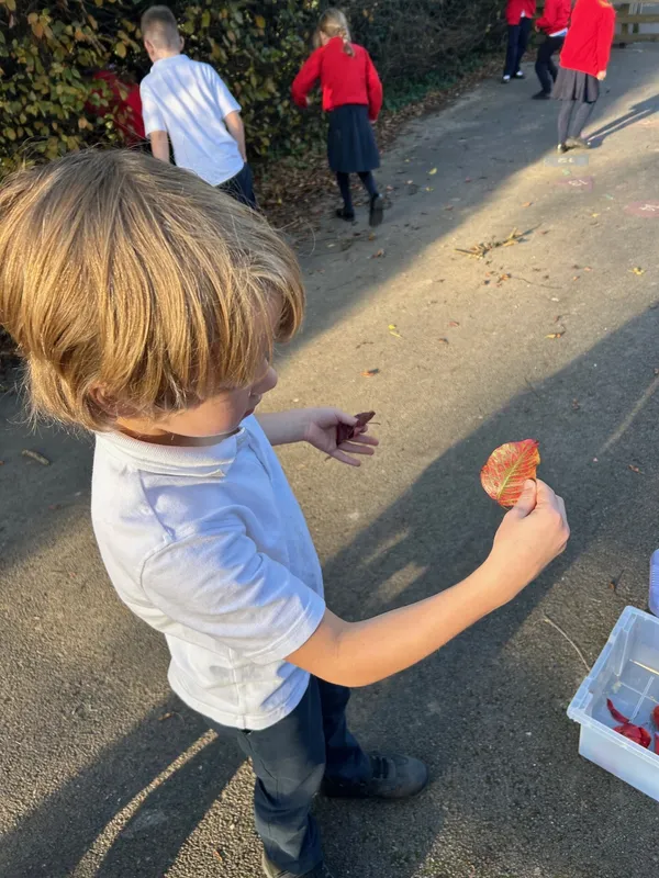 Gallery - created at 2024-11-15 12:36:22 - image 10