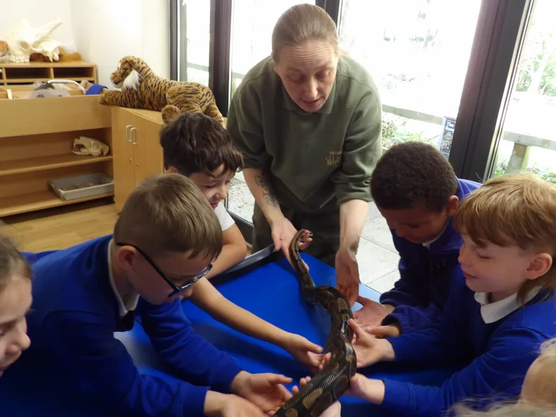 Y3 Yorkshire Wildlife Park Trip - image 48