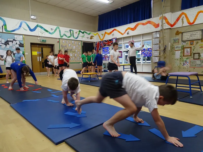 Ospreys Gymnastics Skills - image 5 Ospreys Gymnastics Skills - image 5
