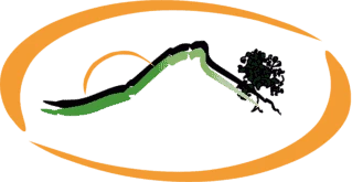 Headteacher's Update February 2026