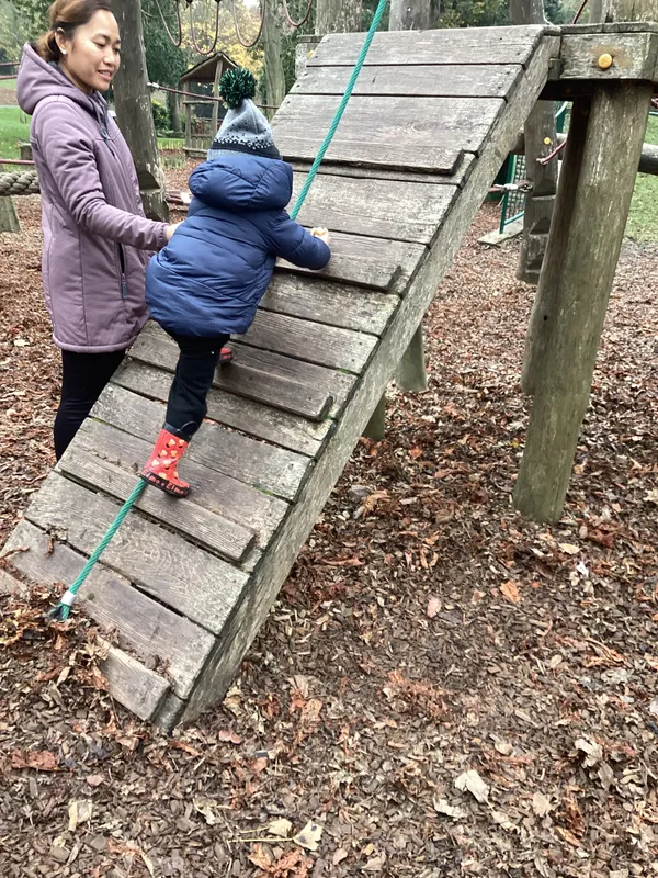 Gallery - created at 2024-11-05 15:27:50 - image 3 Gallery - created at 2024-11-05 15:27:50 - image 3