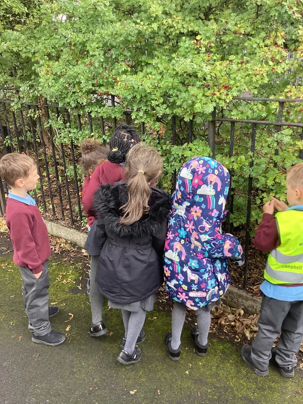 Gallery - created at 2025-09-16 16:30:01 - image 5