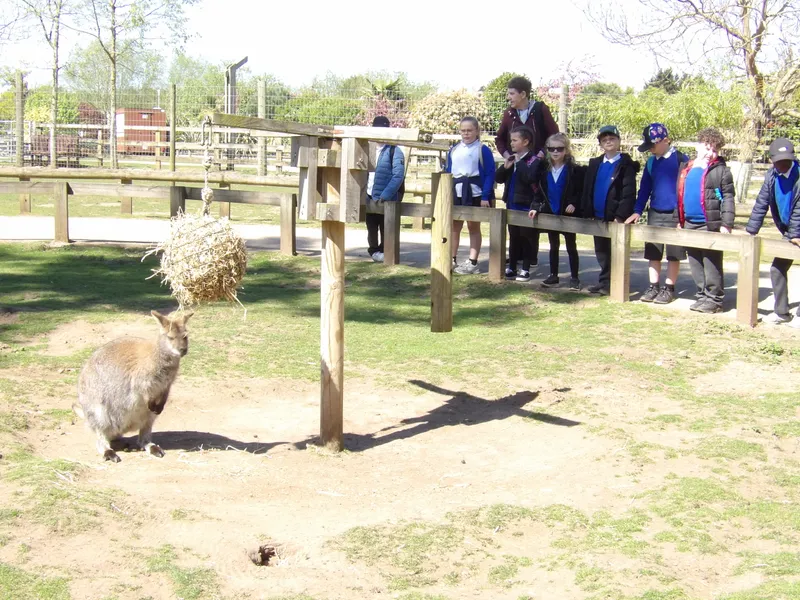Y3 Yorkshire Wildlife Park Trip - image 63