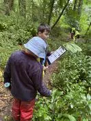 Forest School 97 - image 4 Forest School 97 - image 4