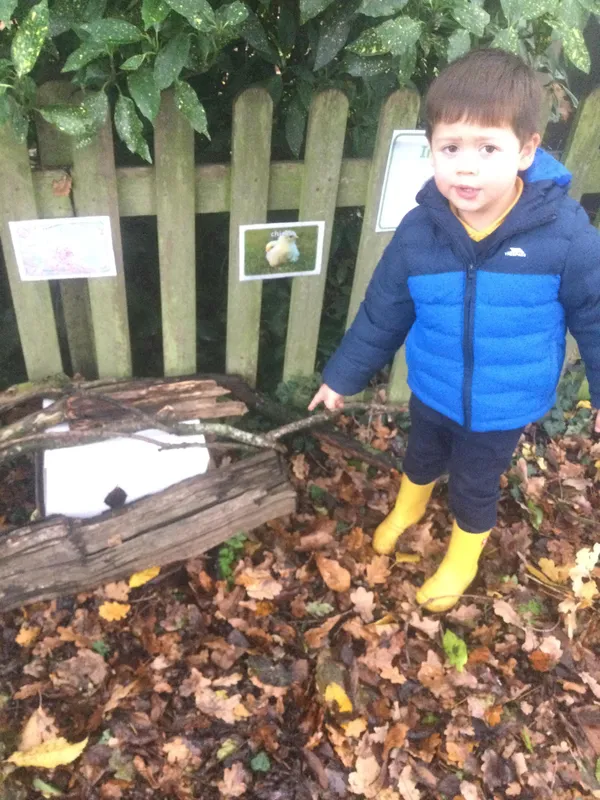 Making a hedgehog house - image 1 Making a hedgehog house - image 1