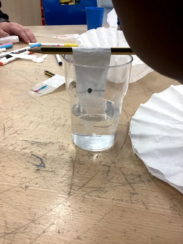 Science Week 2026 - image 34