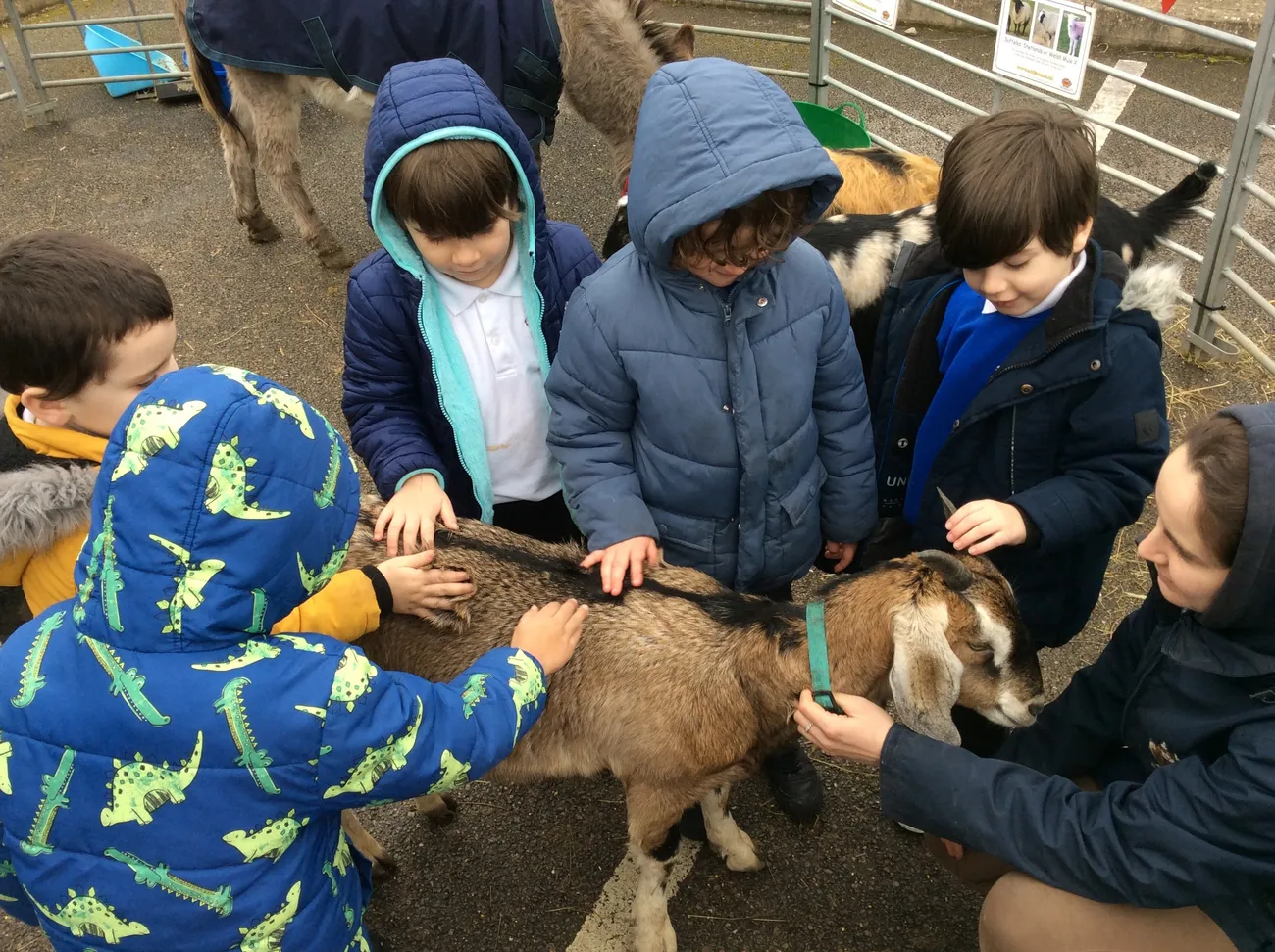 Gallery - created at 2022-03-04 13:11:52 - image 13