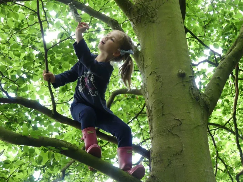 Gallery - created at 2020-05-07 11:04:06 - image 2 Gallery - created at 2020-05-07 11:04:06 - image 2