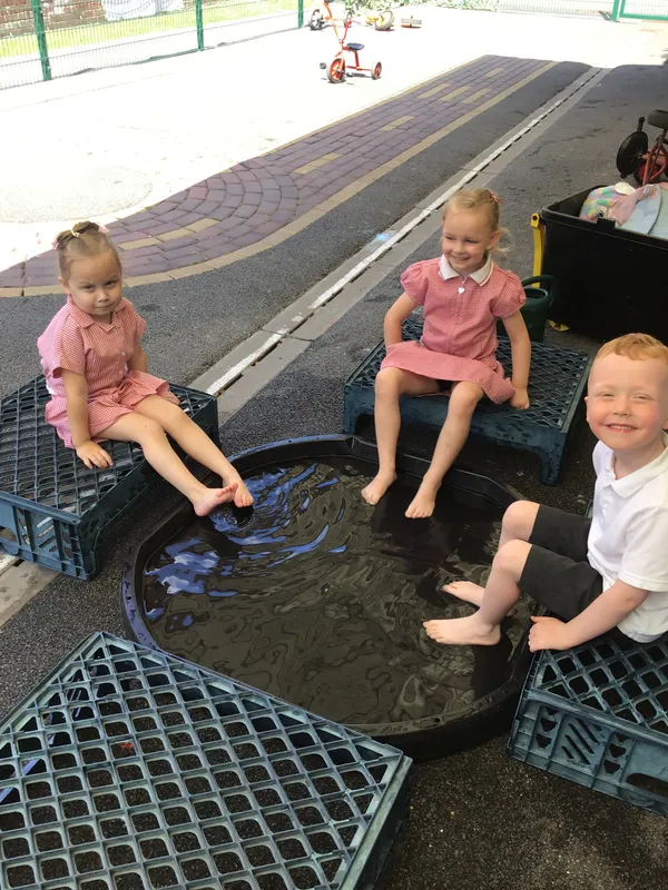Cooling down at the nursery spa! - image 6 Cooling down at the nursery spa! - image 6