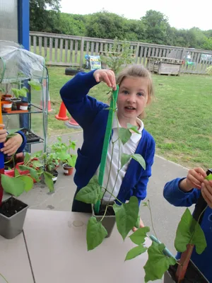 Giant Beanstalks - image 31