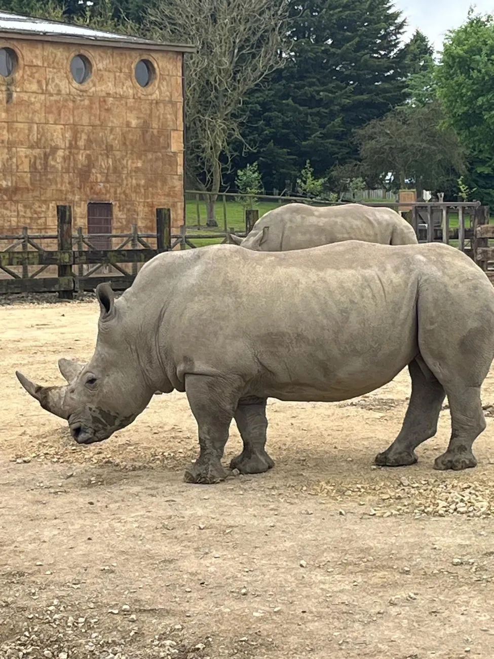 Gallery - created at 2024-06-06 15:03:55 - image 76