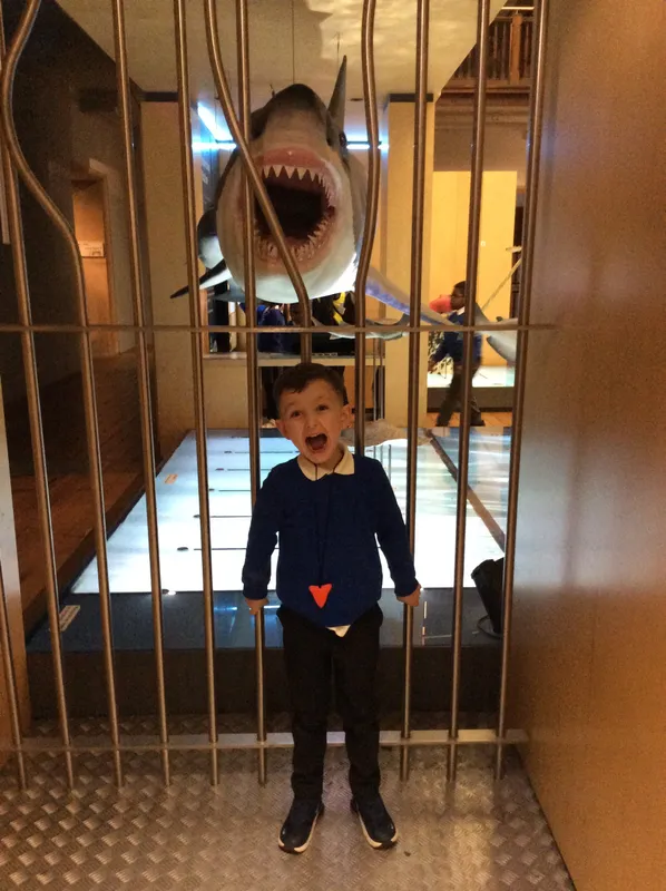 Gallery - created at 2024-02-09 11:53:37 - image 49