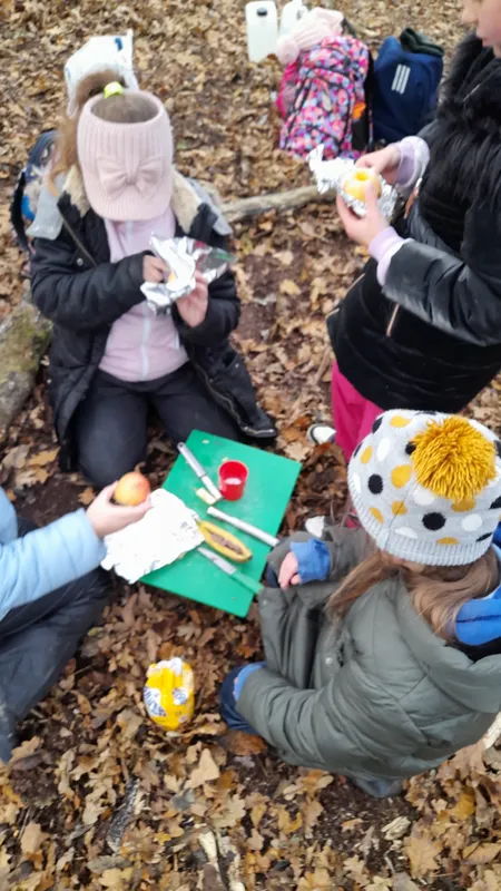 Forest School sessions - image 4 Forest School sessions - image 4